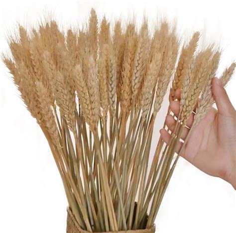 faux wheat stalks